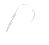 LesgoUSA.it